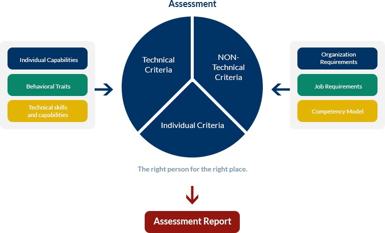 Assessment Dev