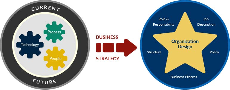 Org Design Framework